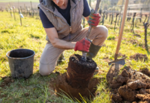 PARCO ESSELUNGA. Giurlani non ci sta. “Succedono cose strane…”