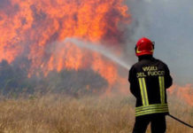 INCENDIO A FIBBIALLA. Cause al vaglio delle autorità competenti