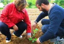 TOSCANA. Oltre 8,5 milioni in più per l’avviamento alle imprese agricole di giovani agricoltori