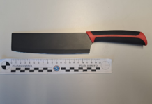 BRANDISCE COLTELLO di 28 centimetri. Denunciato minorenne albanese di Pescia