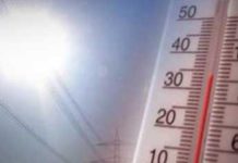 AFA IN TOSCANA. Pescia tra le città più calde. I consigli della Regione