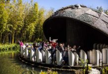 PER PESCIA E LE SUE FRAZIONI. Quale futuro per Collodi?