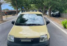 TAMPONAMENTO TRA VETTURE. Incastrata tra gli alberi, auto distrutta