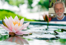 IL LOTO | Franco Corsetti