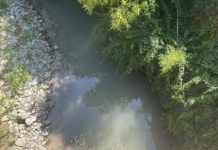 LIQUAMI NEL FIUME PESCIA. Guasto tecnico? Aversa: “Monitoriamo”