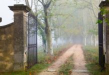 Bussola per la democrazia nel difficile e sofferto cammino verso la libertà