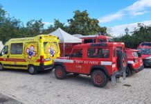 “SPERO ANCORA DI TROVARLA VIVA”. Il lucido racconto di Remo, il marito di Piera