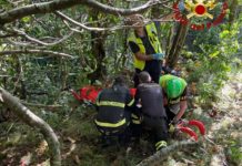 CERCATORE DI FUNGHI SI INFORTUNA. A Cisanello in elicottero
