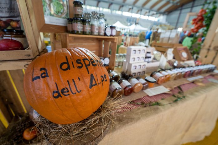 62903000011763004_zc_v1_1761929825476_3