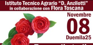 3° edizione della Borsa di studio intitolata a Paolo Batoni e convegno