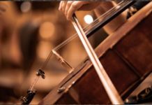 Concerto sinfonico VHS Detting al Teatro Pacini