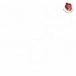 gif AM x cittadino