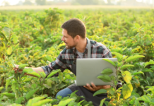Cooperazione per lo sviluppo rurale. Ecco il bando della Regione Toscana