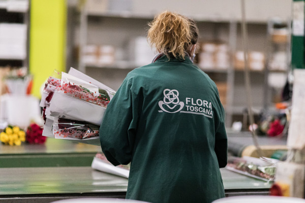Lavorazione-fiori-recisi-Flora-Toscana-600x400