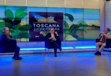 Olivicoltura, Confagricoltura Toscana: “Tempo scaduto, agire adesso per recuperare competitività”