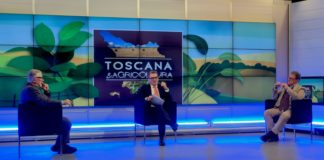 Olivicoltura, Confagricoltura Toscana: “Tempo scaduto, agire adesso per recuperare competitività”