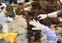 “Piantiamo un albero per il futuro”. Tanti piccoli ospiti all’Istituto Agrario