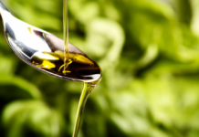 CONVEGNO E CENA DELL’OLIO. Da Carla sabato 29 novembre