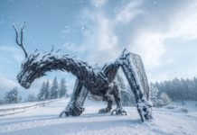 ALPE CIMBRA. Un invito alla natura, all’ascolto e alla meraviglia. Per chi non scia…