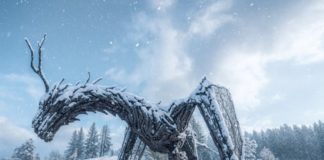 ALPE CIMBRA. Un invito alla natura, all’ascolto e alla meraviglia. Per chi non scia…