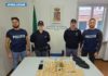 SPACCIO DI HASHISH E COCAINA. Arrestato marocchino, in carcere