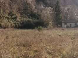 CAMPO SPORTIVO VELLANO. Il progetto di recupero della Pro Loco. “Un anno senza risposta”