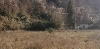 CAMPO SPORTIVO VELLANO. Il progetto di recupero della Pro Loco. “Un anno senza risposta”