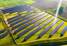 Fotovoltaico ed eolico nei paesaggi agricoli. Agriturist Toscana: “Serve equilibrio”