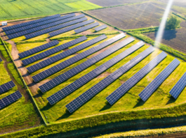 Fotovoltaico ed eolico nei paesaggi agricoli. Agriturist Toscana: “Serve equilibrio”