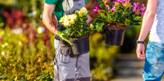 MEFIT, AL VIA PIATTAFORMA DIGITALE. I produttori potranno vendere on line