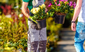 MEFIT, AL VIA PIATTAFORMA DIGITALE. I produttori potranno vendere on line