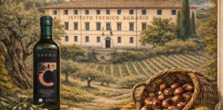 Olea castanea. Convegno su olivo, olivicoltura e castanicoltura