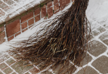 METEO A PESCIA. Epifania sotto la neve? Le previsioni
