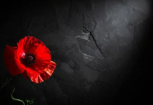 LE MURA SORDE, nella Giornata della Memoria. In Archivio di Stato