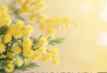 FESTA DELLA DONNA. I segreti della Monaca di Monza