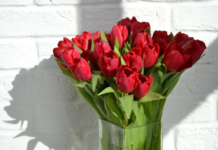 SAN VALENTINO IN FLORA TOSCANA. Quasi 4 milioni di steli