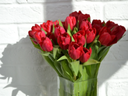 SAN VALENTINO IN FLORA TOSCANA. Quasi 4 milioni di steli