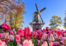 SOCI BANCA DI PESCIA E CASCINA. Pronti a partire alla scoperta di angoli meravigliosi? Tutte le offerte