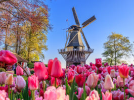 SOCI BANCA DI PESCIA E CASCINA. Pronti a partire alla scoperta di angoli meravigliosi? Tutte le offerte