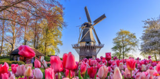 SOCI BANCA DI PESCIA E CASCINA. Pronti a partire alla scoperta di angoli meravigliosi? Tutte le offerte