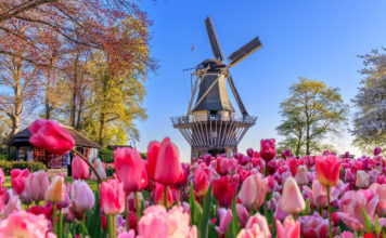 SOCI BANCA DI PESCIA E CASCINA. Pronti a partire alla scoperta di angoli meravigliosi? Tutte le offerte