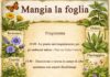 MANGIA LA FOGLIA. Le erbe commestibili e le sue proprietà benefiche