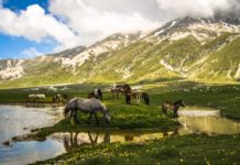 OPERAZIONE ABRUZZO. Escursione CAI sui Monti Velino e Camicia