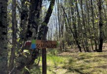 MONTE SCARPIGLIONE, terrazza sul mare. Domenica 8 marzo con Romina Biagi