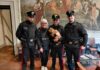 GINO, CANE SMARRITO in mezzo al traffico. Tratto in salvo dai Carabinieri