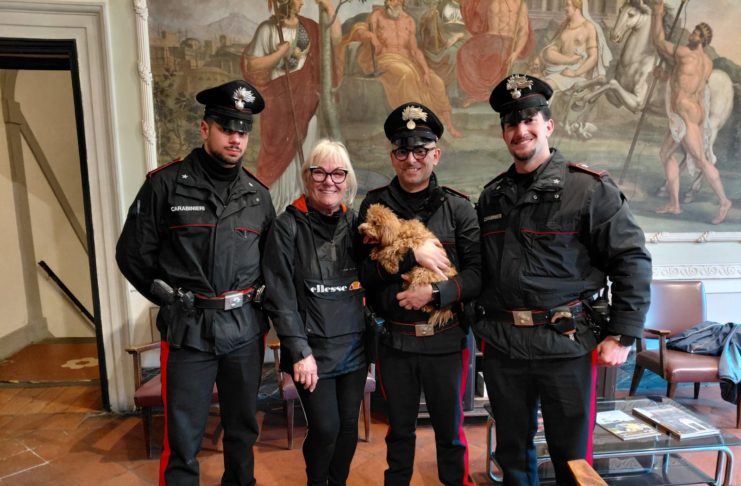 GINO, CANE SMARRITO in mezzo al traffico. Tratto in salvo dai Carabinieri