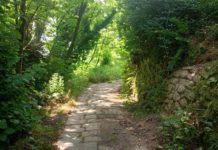 HAI MAI VISTO PESCIA DALL’ALTO? Escursione e banchetto per i Soci della Banca. Come prenotarsi