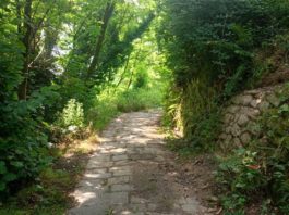 HAI MAI VISTO PESCIA DALL’ALTO? Escursione e banchetto per i Soci della Banca. Come prenotarsi