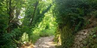 HAI MAI VISTO PESCIA DALL’ALTO? Escursione e banchetto per i Soci della Banca. Come prenotarsi