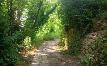 HAI MAI VISTO PESCIA DALL’ALTO? Escursione e banchetto per i Soci della Banca. Come prenotarsi